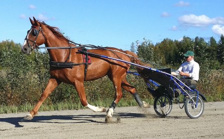 Hayseed hiittikausi alku syksystä 2014