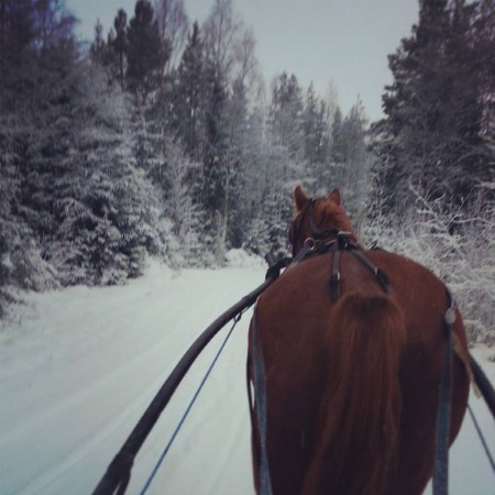 Hayseed treenaa kotimaastoissa talvella 2013